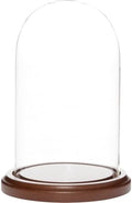 Plymor 4 inch x 7 inch Glass Display Dome Cloche (Dark Wood Base) by Plymor