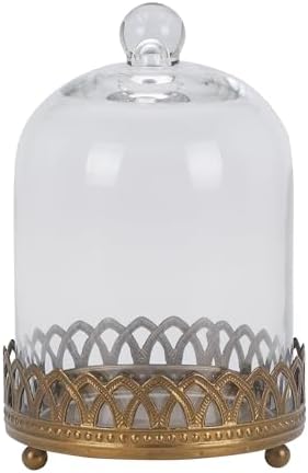 Twakutwku 8" Tall Large Sturdy Handmade Glass Cloche Dome with Metal Base in Gold for Plant, Terrarium, Collectibles, Candle. Cloche Glass Dome, Bell Jar Display Case (Gold, 8") by Unknown