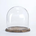 CYS EXCEL Glass Cloche Dome with Lightly Charred Wood Base (H:11" D:11") | Multiple Size Choices Decorative Showcase Display for Antique Collectibles | Bell Jar Terrarium & Dessert Cover by CYSEXCEL%C2%AE