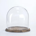 CYS EXCEL Glass Cloche Dome with Lightly Charred Wood Base (H:11" D:11") | Multiple Size Choices Decorative Showcase Display for Antique Collectibles | Bell Jar Terrarium & Dessert Cover by CYSEXCEL%C2%AE
