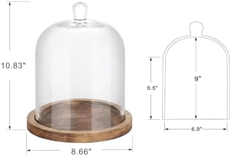 8" Wide Glass Bell Cloche with Wooden Base In Vintage Natural, Clear Dome Display Cover, Decorative Terrarium Jar (Vintage Natural, 9.5"x11") - Image 2