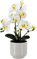Fake Orchid-19”tall Artificial Indoor Potted Plant for Home Decor-White by Unknown