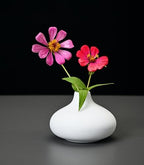 Set of 9 Ceramic Bud Vases for Pampas Grass Flowers, Small Vases in Bulk for Centerpieces Boho Vases for Wedding Decorations Neutral Living Room and Bedroom Decor DIY Gift (White) - Image 3