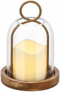 7.5" High Versatile Vintage Brass Metal Candle Holder with Handmade Sturdy Glass Dome and Natural Wooden Base for Pillar Candle & Plants, Industrial, Farmhouse, Shabby Chic, Display Cloche Bell Jars by Unknown