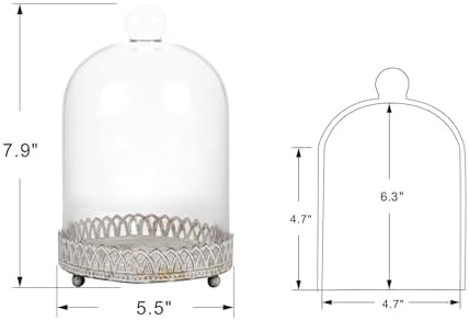 Twakutwku 8" Tall Large Sturdy Handmade Glass Cloche Dome with Metal Base in Shabby White for Plant, Terrarium, Collectibles, Candle. Cloche Glass Dome, Bell Jar Display Case (Shabby White, 8") - Image 2