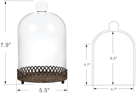 Twakutwku 8" Tall Large Sturdy Handmade Glass Cloche Dome with Metal Base in Rustic Brown for Plant, Terrarium, Collectibles, Candle. Cloche Glass Dome, Bell Jar Display Case (Brown, 8") - Image 2