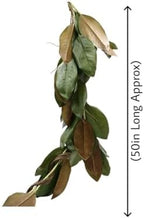 Serene Spaces Living 50in Long Artificial Magnolia Leaf Garland, Ideal to Hang at Wedding, Store Display, Window Sill, Fall Decor, Perfect Holiday Décor, Set of 4 - Image 3