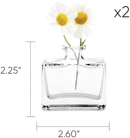CHIVE ‘Loft’ Small Mini Flower Vases - Clear Glass Bud Vases, Set of 10 - Cute Vintage Rustic Centerpieces for Wedding, Events & Home - Premium Quality, Designed to Last - Image 2