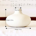 Carrot's Den Small White Ceramic Bud Vase Set of 6, Nordic Minimalist - Image 5