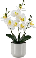 Fake Orchid-17.5”tall Artificial Indoor Potted Plant for Home Decor-White by Unknown