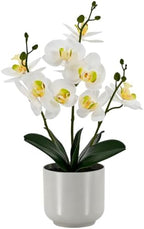 Fake Orchid-17.5”tall Artificial Indoor Potted Plant for Home Decor-White by Unknown
