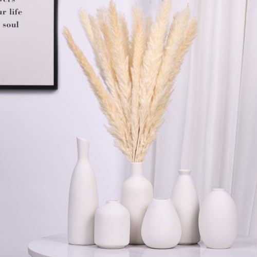 White Ceramic Vase Set of 6, Modern Boho Vases for Dry Flowers, Small White Vases for Decor, White Small Vases for Centerpieces in Bulk, Mini Small Flower Vases for Wedding Home Table Party Decor - Image 6