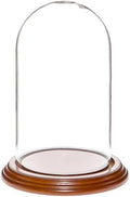 Plymor 4" x 7" Small Glass Display Dome Cloche (Walnut Veneer Base) by Plymor