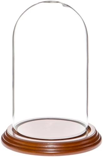 Plymor 4" x 7" Small Glass Display Dome Cloche (Walnut Veneer Base) by Plymor
