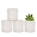 D'vine Dev Set of 4 Small Ceramic Plant Pots, 3.5 Inch Succulent Planter Pot for Plants with Drainage Hole and Saucer, Oatmeal, 94-X-A-8 by DvineDevPlanterPotsandStand