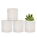 D'vine Dev Set of 4 Small Ceramic Plant Pots, 3.5 Inch Succulent Planter Pot for Plants with Drainage Hole and Saucer, Oatmeal, 94-X-A-8 by DvineDevPlanterPotsandStand