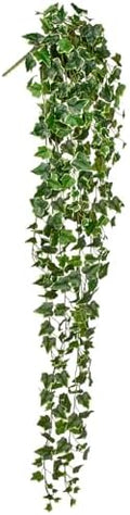Hollyone Artificial Hanging Plants 6FT Fake Ivy Vine Faux Ivy Leaves Hanging Plant Greenery for Wall House Room Patio Indoor Outdoor Home Shelf Office Wedding Decor by Hollyone