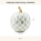 MACKENZIE-CHILDS Resin Pumpkin, Small, Gray-and-White Sterling Check - Image 4