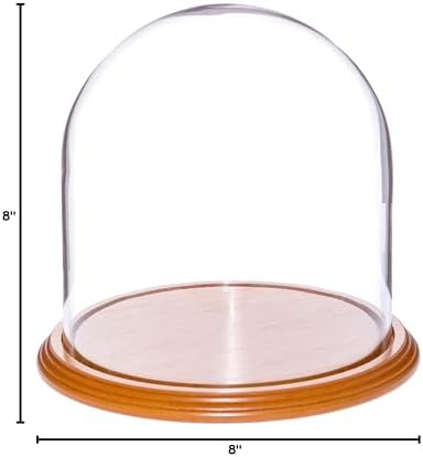 Plymor 8" x 8" Glass Display Dome Cloche (Oak Veneer Base) - Image 2