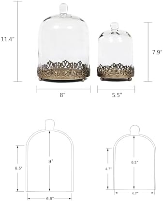 12" Tall Large Sturdy Handmade Glass Cloche Dome with Metal Base 11.4" H x 8" and 8" H x 5.5" in Set of 2 in Gold for Plant, Terrarium, Collectibles, Candle. Cloche Glass Dome, Bell Jar Display Case - Image 3