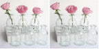 Bud Vases Set of 6 Small Glass Vase for Flowers, Clear Vase Set (Pack of 2) by HANIHUA