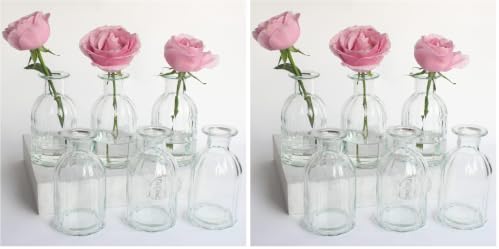 Bud Vases Set of 6 Small Glass Vase for Flowers, Clear Vase Set (Pack of 2) by HANIHUA