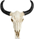 IMIKEYA Cow Skull Wall Decor, Resin Bull Skull with Horns, 8.5x8.5x2.4 Inch by IMIKEYA