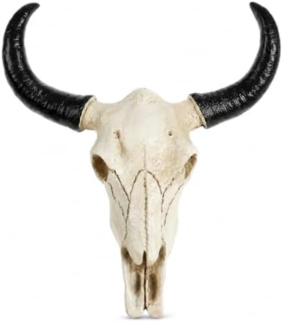 IMIKEYA Cow Skull Wall Decor, Resin Bull Skull with Horns, 8.5x8.5x2.4 Inch by IMIKEYA