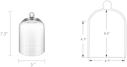 7.5" Tall Handmade Glass Cloche, Thick & Sturdy, Dia 5"xH 7.5", For Terrarium, Plants, Trinkets, Cakes, Figurines, LED Light String, Candle. Cloche Glass Dome, Bell Jar Display Case (1, 5.12"x7.48") - Image 2