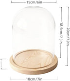 Glass Cloche Bell Jar Display Dome, Natural Wood Color, 6"x7" - Image 3