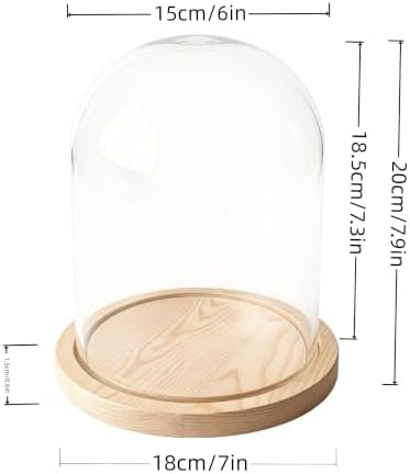 Glass Cloche Bell Jar Display Dome, Natural Wood Color, 6"x7" - Image 3