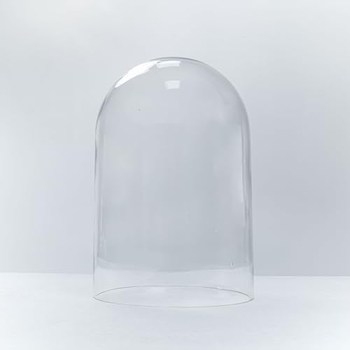 CYS EXCEL Tall Glass Cloche Dome (H:15" D:9.75") | Multiple Sizes Decorative Showcase Display for Antique Collectibles | Bell Jar Terrarium & Dessert Cover - Image 3