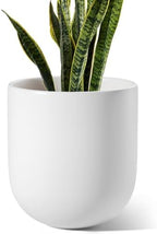 LE TAUCI 10 Inch Plant Pot, Ceramic Pots for Plants, White by LETAUCI