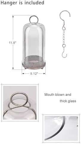 12" High Versatile Modern Metal Hurricane Lantern with Handmade Sturdy Glass Dome in Shabby White for Pillar Candle & Plants, Industrial, Farmhouse (White Shabby, 5"x12") - Image 2