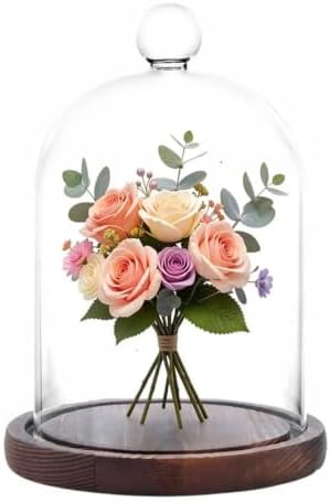 Glass Cloche Dome Bell Jar Display Case with Small Ball Top and Wooden Base for Plant,Collectibles (Medium:4.7 * 6.3 inches) by WelcometoPCYMYN