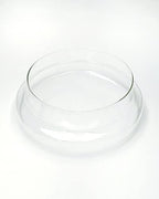 Handblown 12" Glass Terrarium with Opening for Air Flow & Cork Stopper Cloche Style Glass Dome Vivarium Display Case (Extra Large) - Image 4