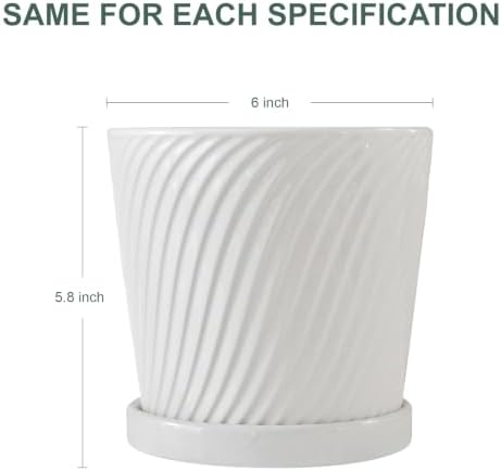 White 6 Inch Flower Pots for Plants,Ceramic Planter with Drainage Holes - Image 4