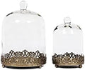 12" Tall Large Sturdy Handmade Glass Cloche Dome with Metal Base 11.4" H x 8" and 8" H x 5.5" in Set of 2 in Gold for Plant, Terrarium, Collectibles, Candle. Cloche Glass Dome, Bell Jar Display Case by Unknown