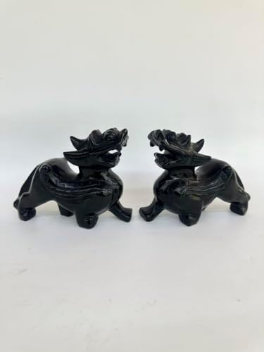 Pair of Pixiu Fengshui Statue, Black Obsidian Gemstone Pixiu Statue, Home Decoration Gift Idea Lunar New Year (5.9" L) by NATURALMARBLE