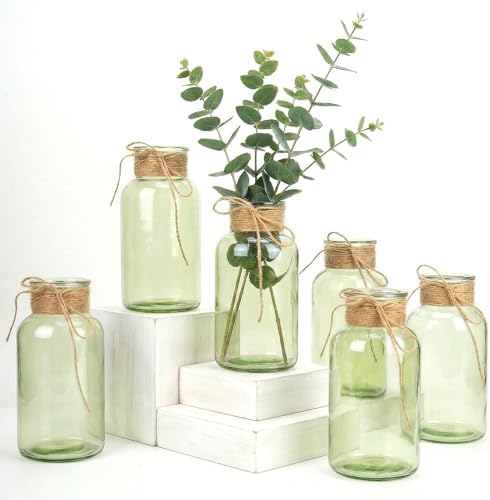 Mason Jars for Centerpiece Glass Flower Bud Vase Green Vases, 6 Pc by Unknown