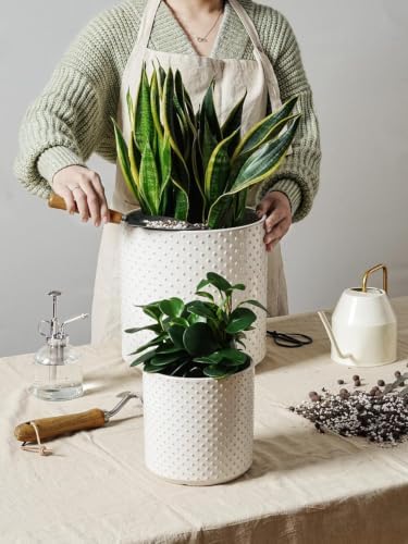 LE TAUCI 10+8+6 Inch Ceramic Pots for Plants, Indoor Planters with Drainage Hole and Plug, Raised Dots Cylinder Flower Pots Set of 3 for Living Room and Bedroom, Glossy, Arctic White - Image 2