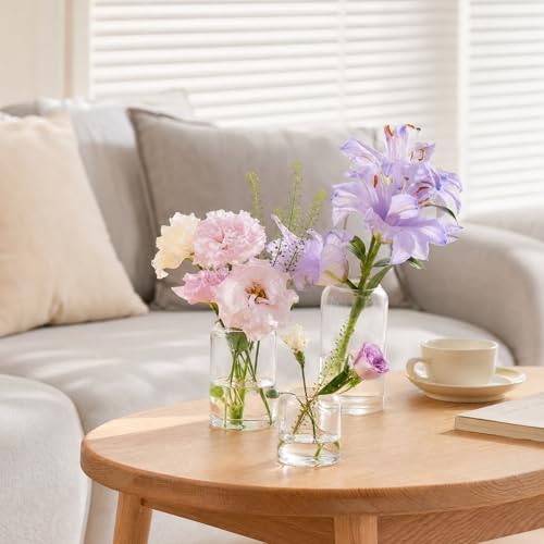 Glass Bud Vases, Set of 24 Clear Small Flower Vases in Bulk 3 Sizes - Image 3