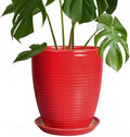 Ceramic Pot for Plants - 8 Inch Plant Pot for Indoor Plants Outdoor Round Planter Modern Flower Pot with Drainage Hole and Saucer Home Garden Office Porch Decor Red by EPFamily