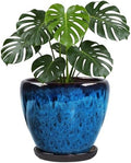 Ceramic Plant Pots With Saucer & Drainage Hole, 10 inch Indoor Flower Pots by Xoogifae