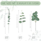 Giegxin 600 Pcs Mixed Artificial Eucalyptus Leaves Stems Bulk Green - Image 2