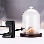 Smoke Glass Cloche with Walnut Base for Food Smoking, Cocktails & Display - Image 2