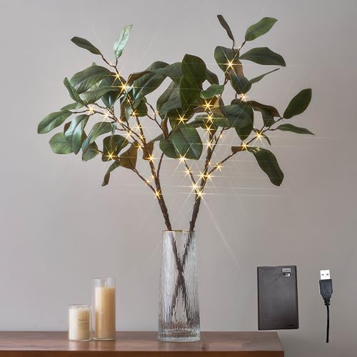 Hairui Lighted Magnolia Branches with Timer 32IN Battery Operated or USB Plug in, Faux Greenery Willow Branch with Lights 60 LED Fairy Lights for Room Fireplace Spring Decoration by Hairui