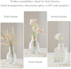 Glass Bud Vases Set of 16 - Assorted Small Mini Glass Vases for Flowers, Crystal Vintage Vase Set, Bulk Centerpieces for Table Décor, Wedding, Home and Events (Clear, 16 Pcs) - Image 5