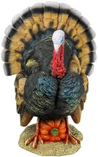 Design Toscano QM2373100 North American Turkey Statue,full color,Small - Image 2