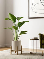 LE TAUCI 10+8+6 Inch Ceramic Pots for Plants, Indoor Planters with Drainage Hole and Plug, Modern Cylinder Flower Pots Set of 3 for Living Room and Bedroom, Glossy, Linen Birch - Image 2